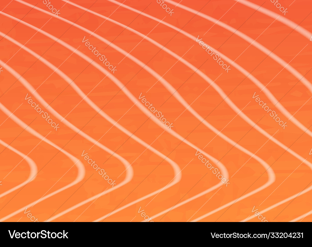 Salmon trout fish meat fillet background Vector Image