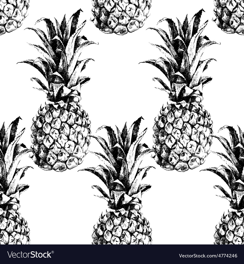 Hand Drawn Pineapple Seamless Royalty Free Vector Image 7022