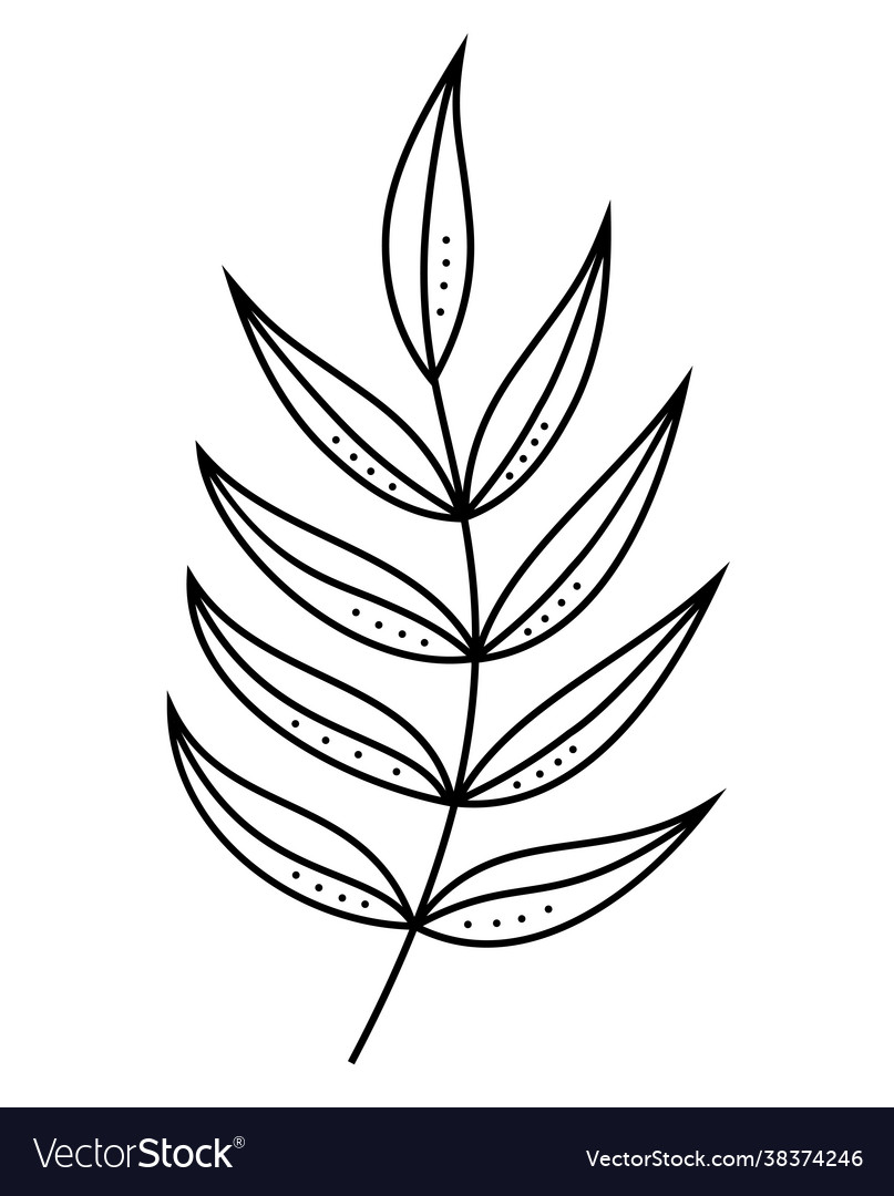 Leaf line art contour drawing minimalism Vector Image