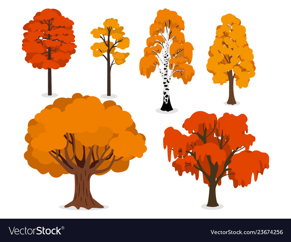 Yellow orange and red forest trees isolated