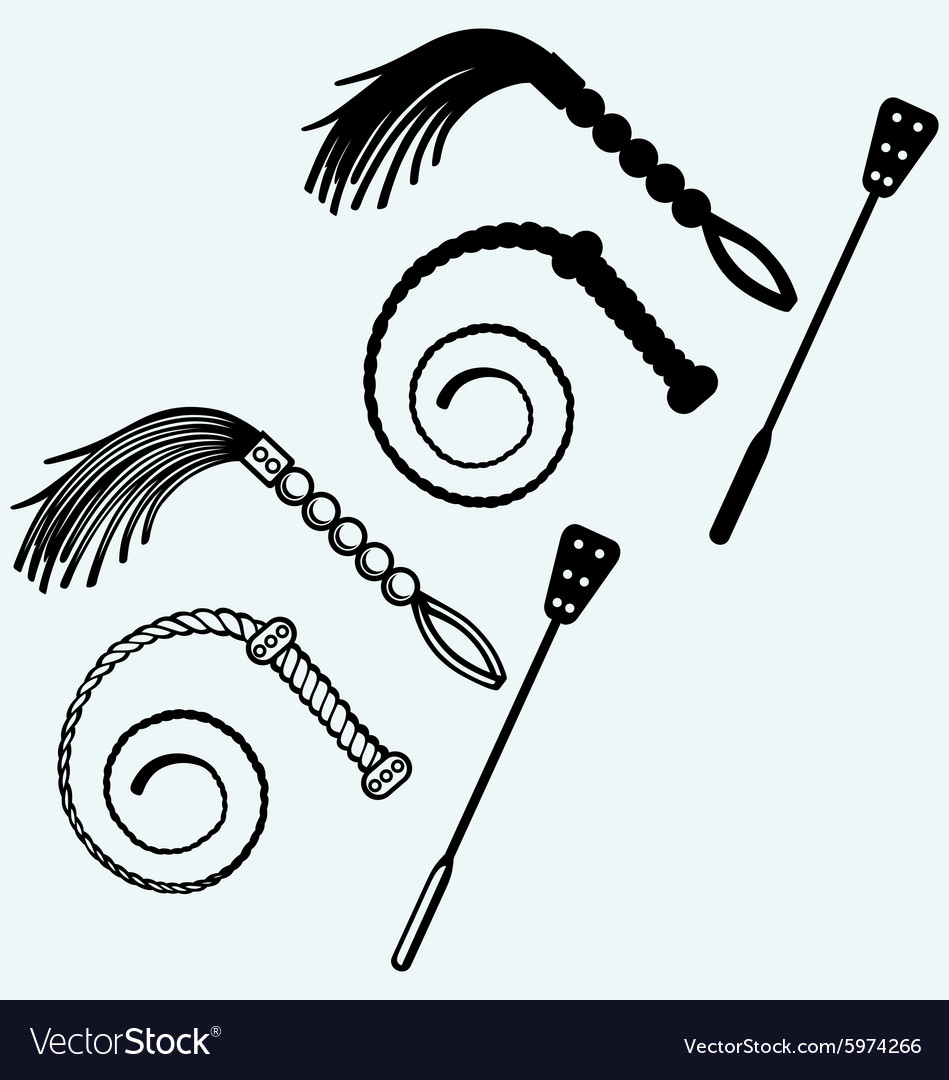 Different Types Of Whips For Sexual Role Playing Vector Image 0970