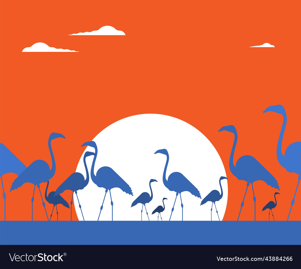 Flat flamingo bird