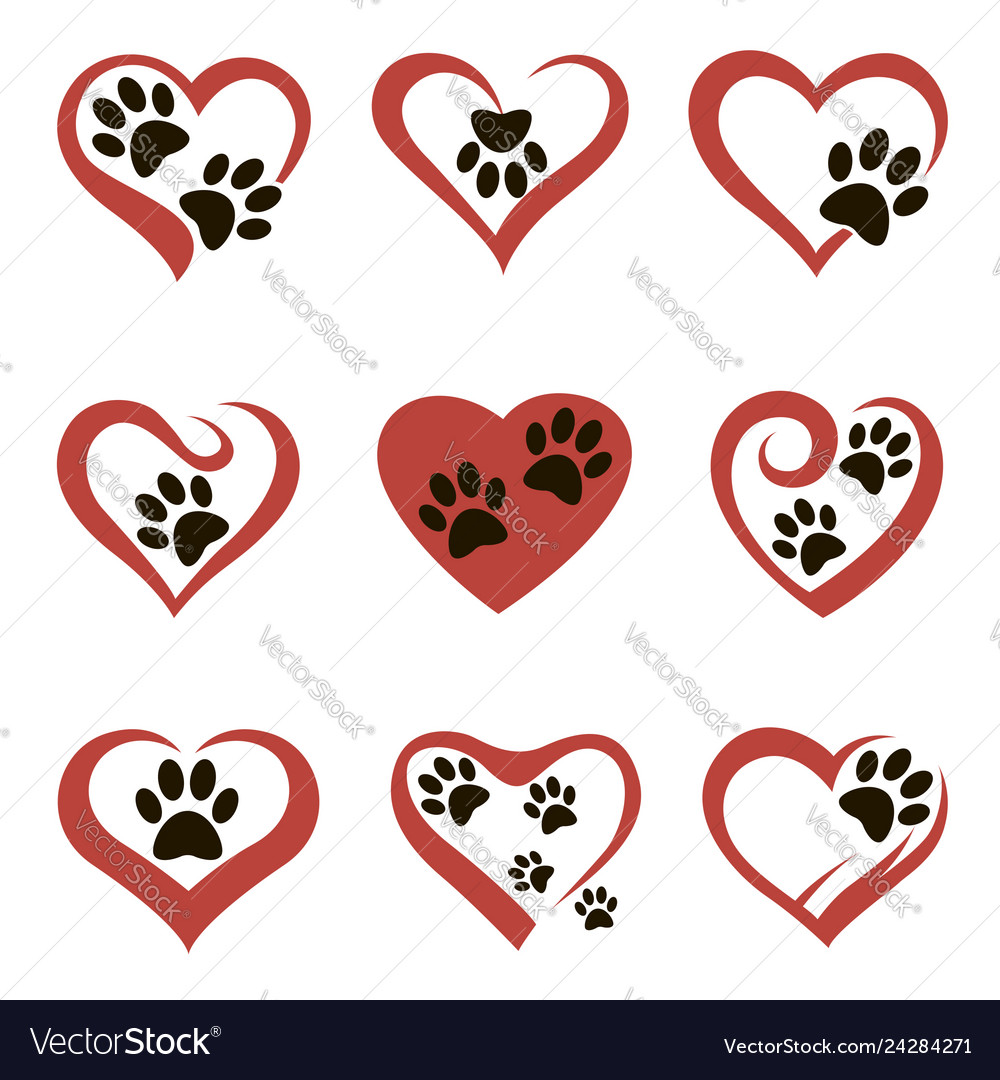Pet footprint set vector image Pet footprint set