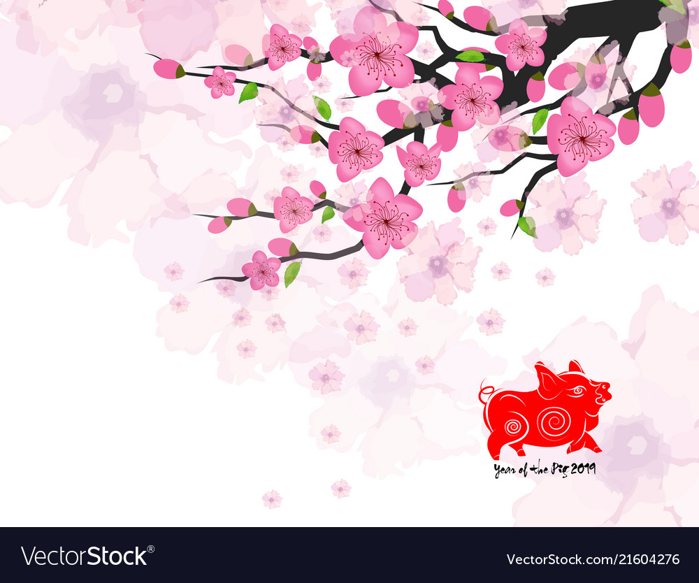 plum flower vector