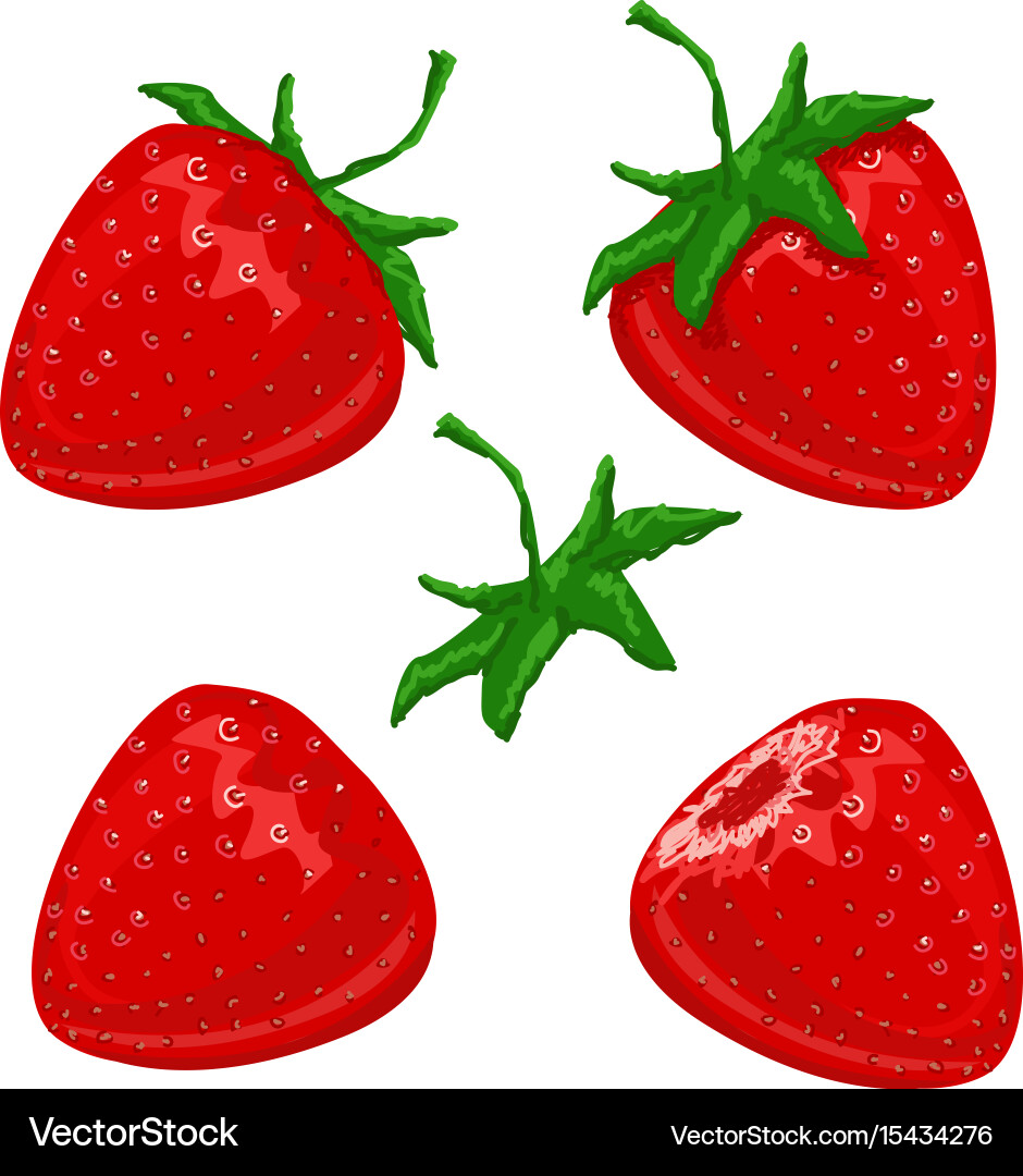 Strawberry berries set Royalty Free Vector Image