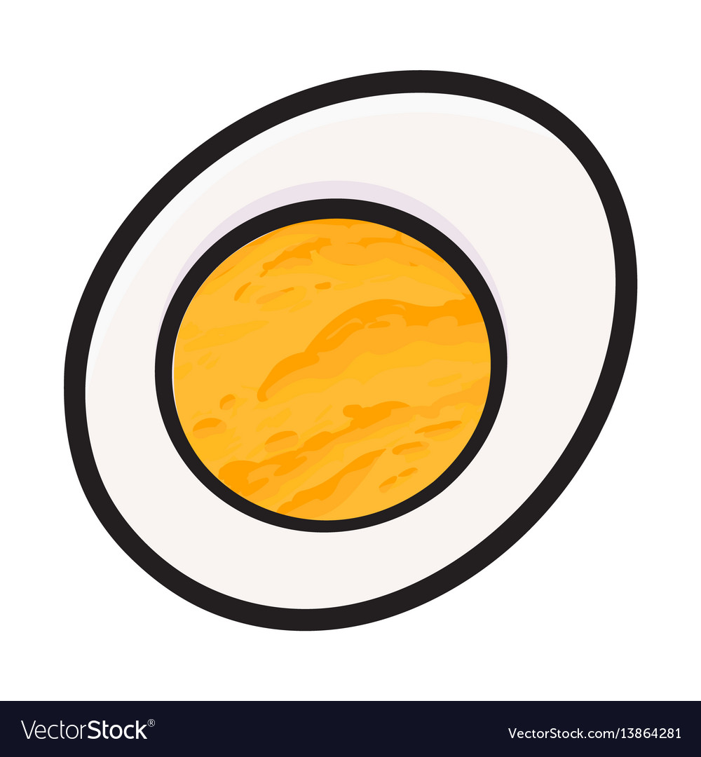 Boiled chicken egg cut in half sketch style Vector Image