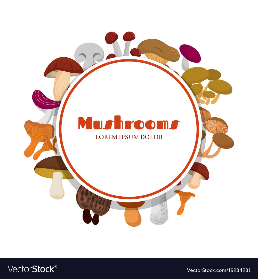 Cartoon Mushrooms Round Banner Design Royalty Free Vector