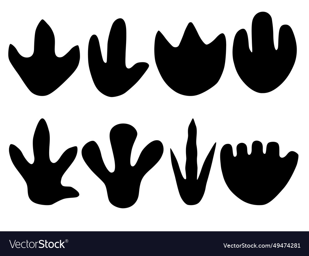 Dinosaur or dragon tracks black silhouette Vector Image