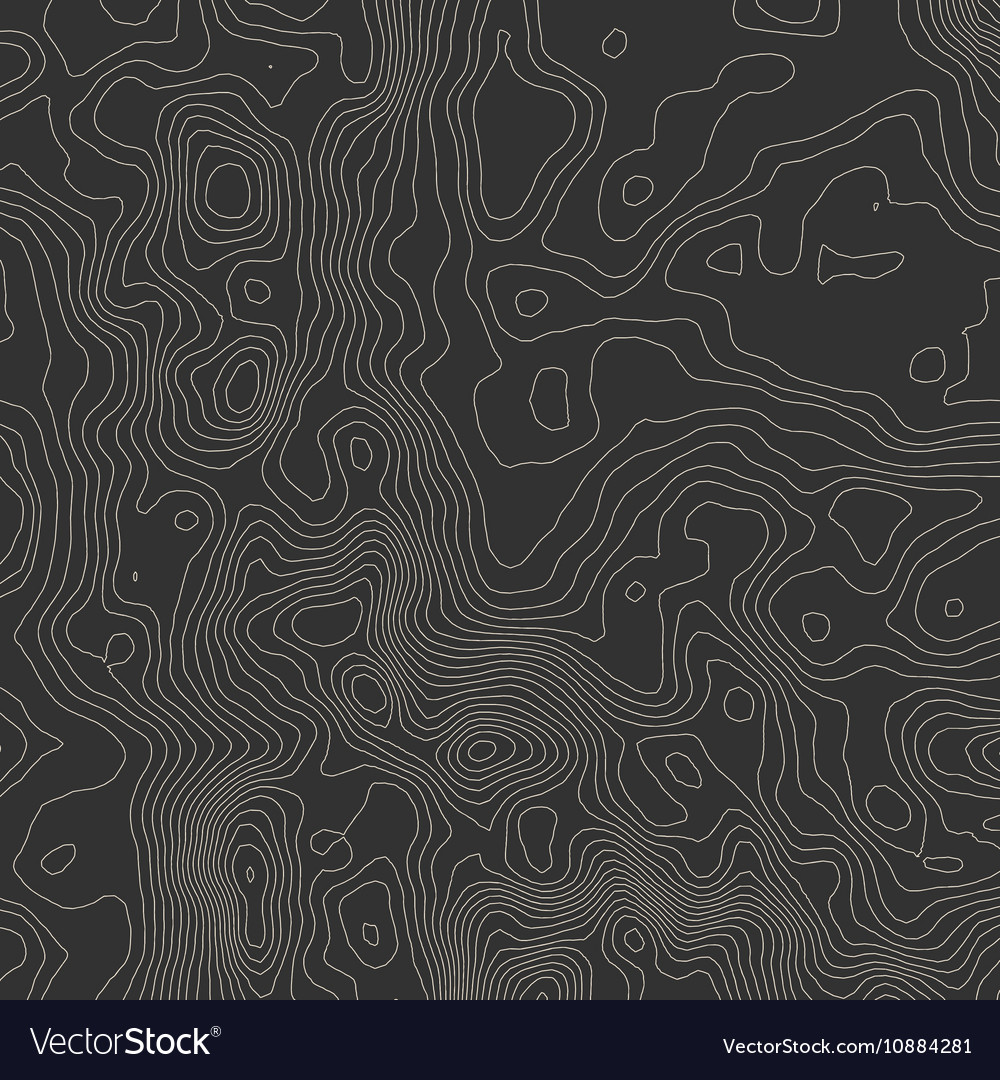 Topographic map background concept with space Vector Image