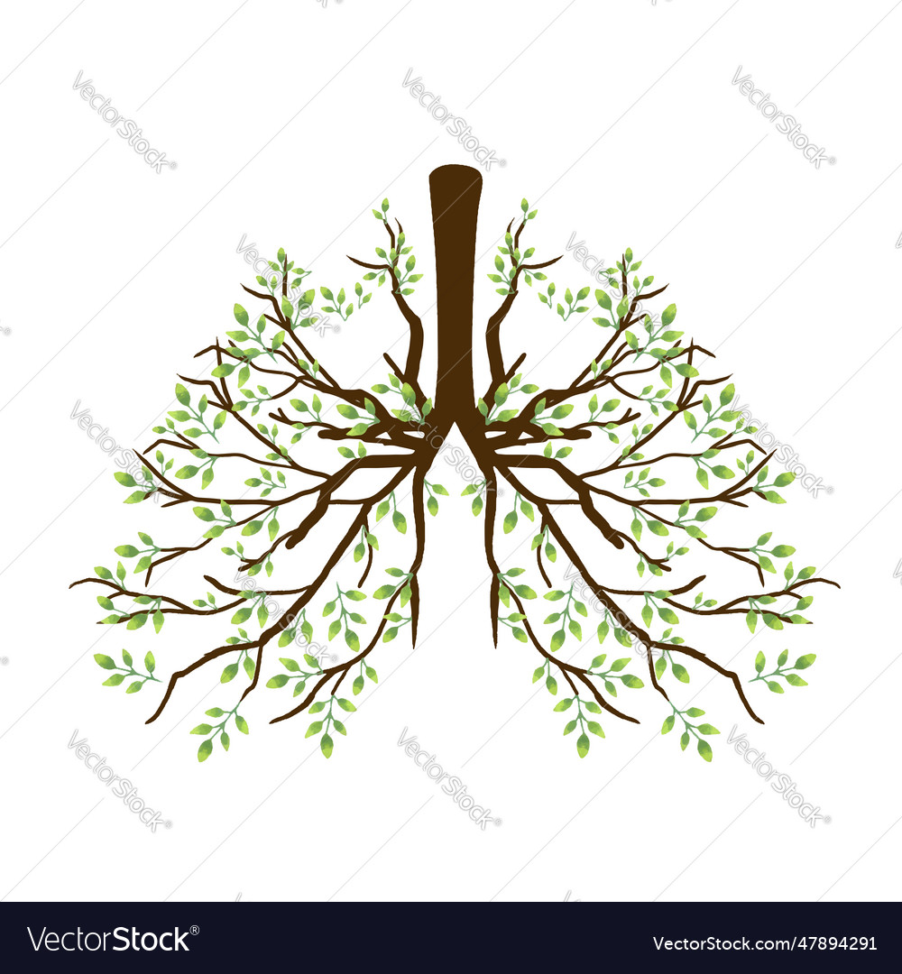 Foliage and branches forming lungs bronchus Vector Image