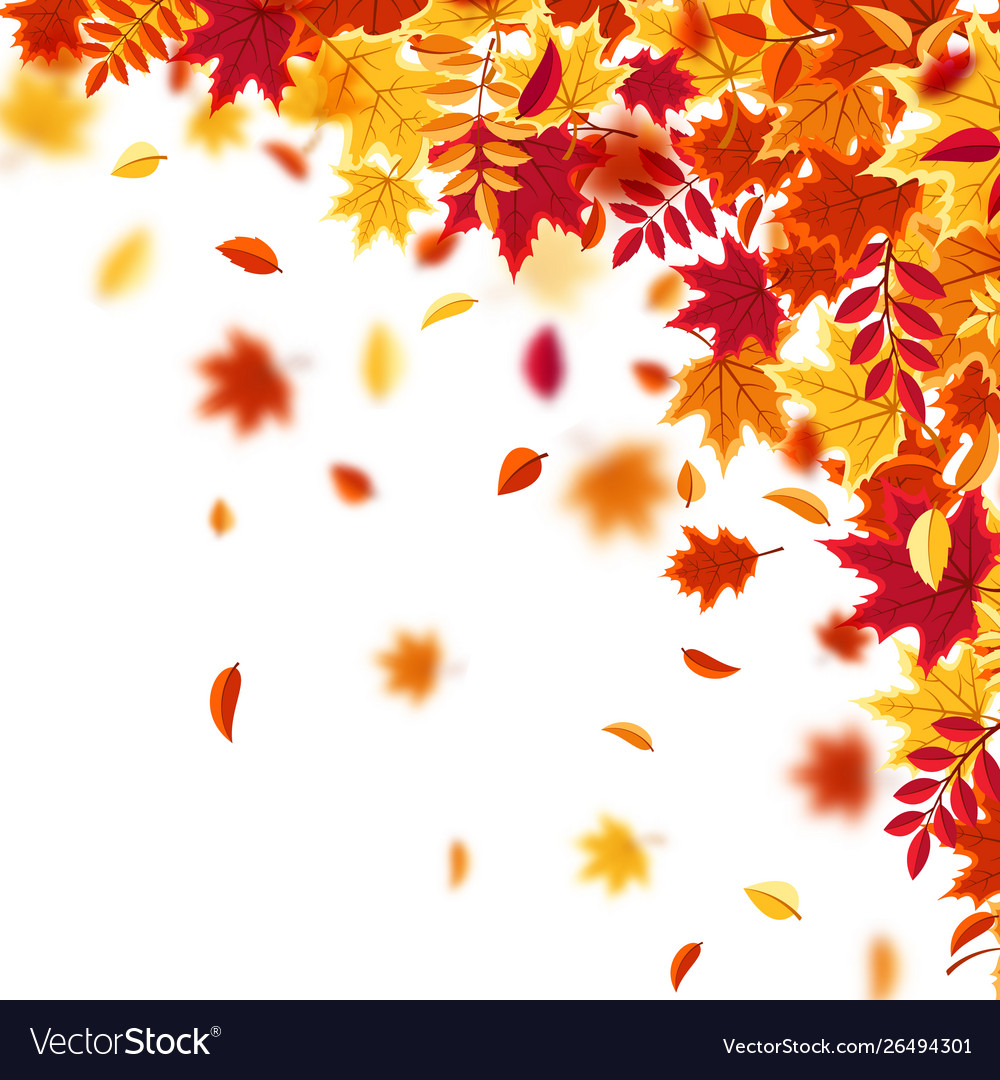 Autumn falling leaves nature background with red Vector Image