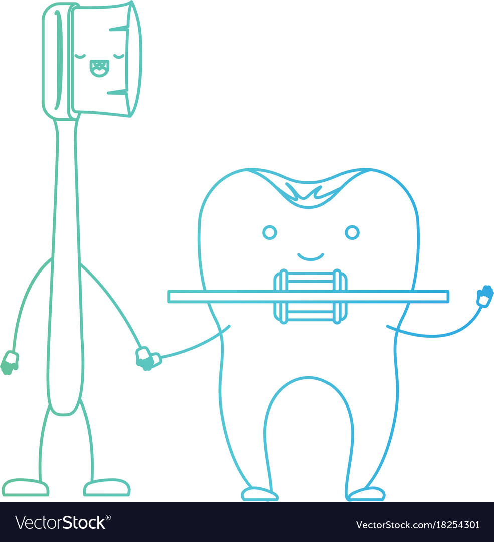 Cartoon couple toothbrush and tooth with brace Vector Image