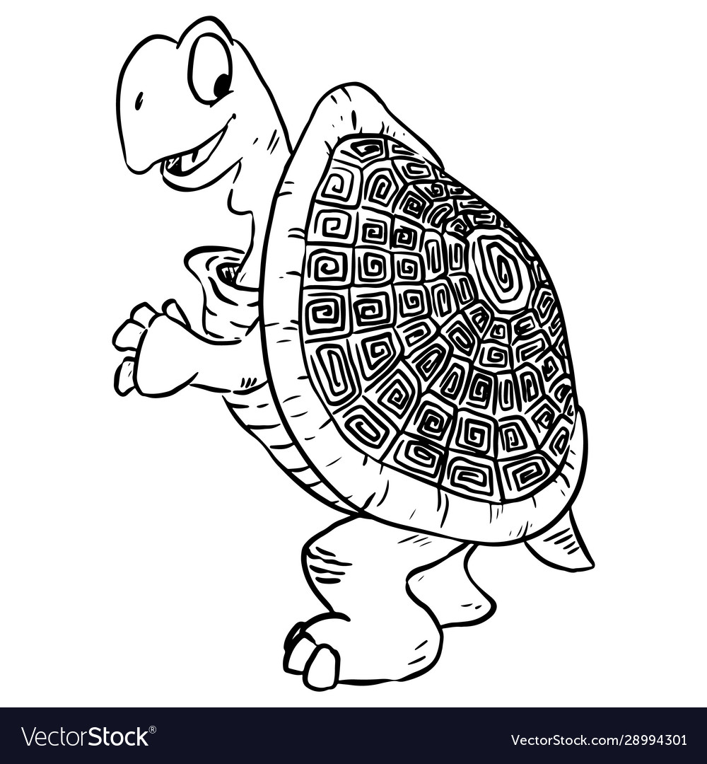 Turtle image cartoon a cute tortoise