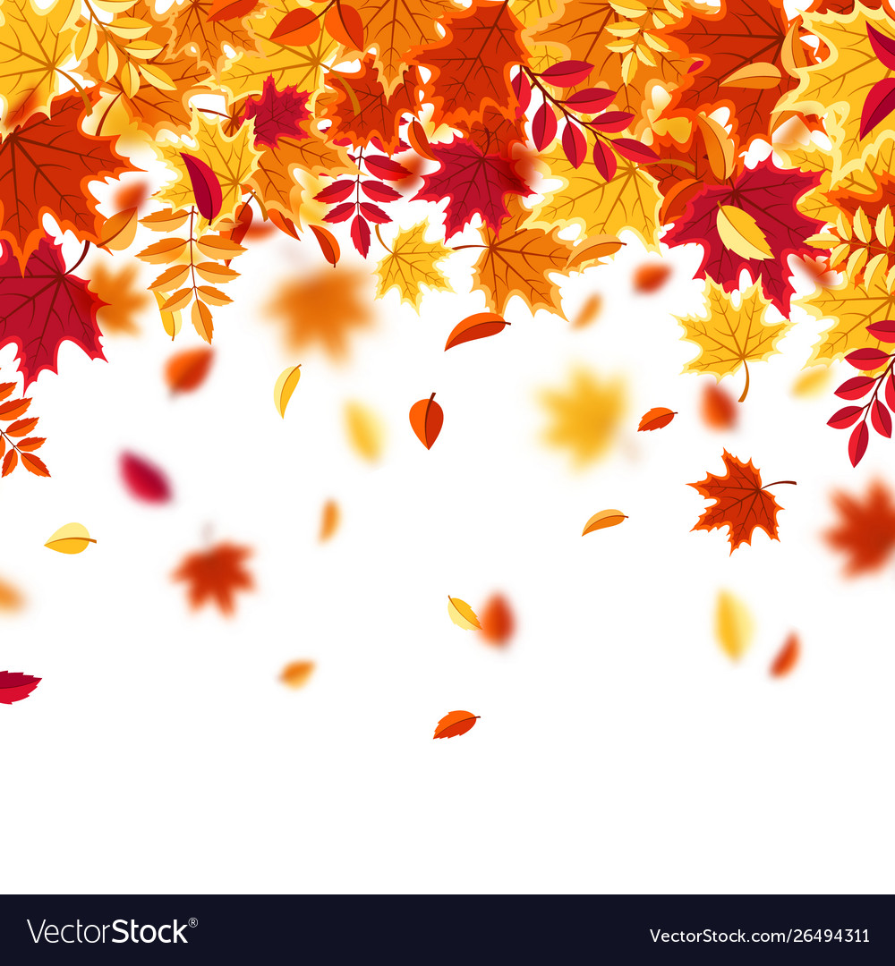 Autumn falling leaves nature background with red Vector Image