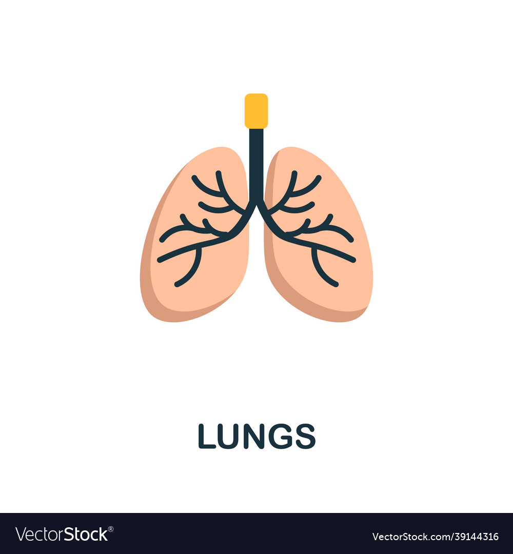 Lungs flat icon colored sign from oxygen Vector Image