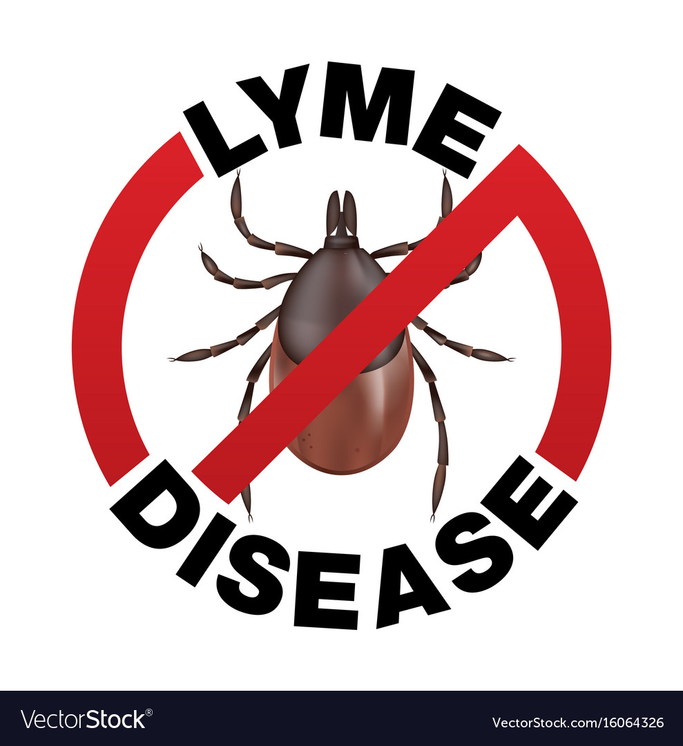 Lyme disease tick bite icon Royalty Free Vector Image