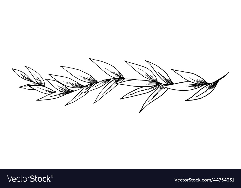 Leaves decor freehand sketch Royalty Free Vector Image