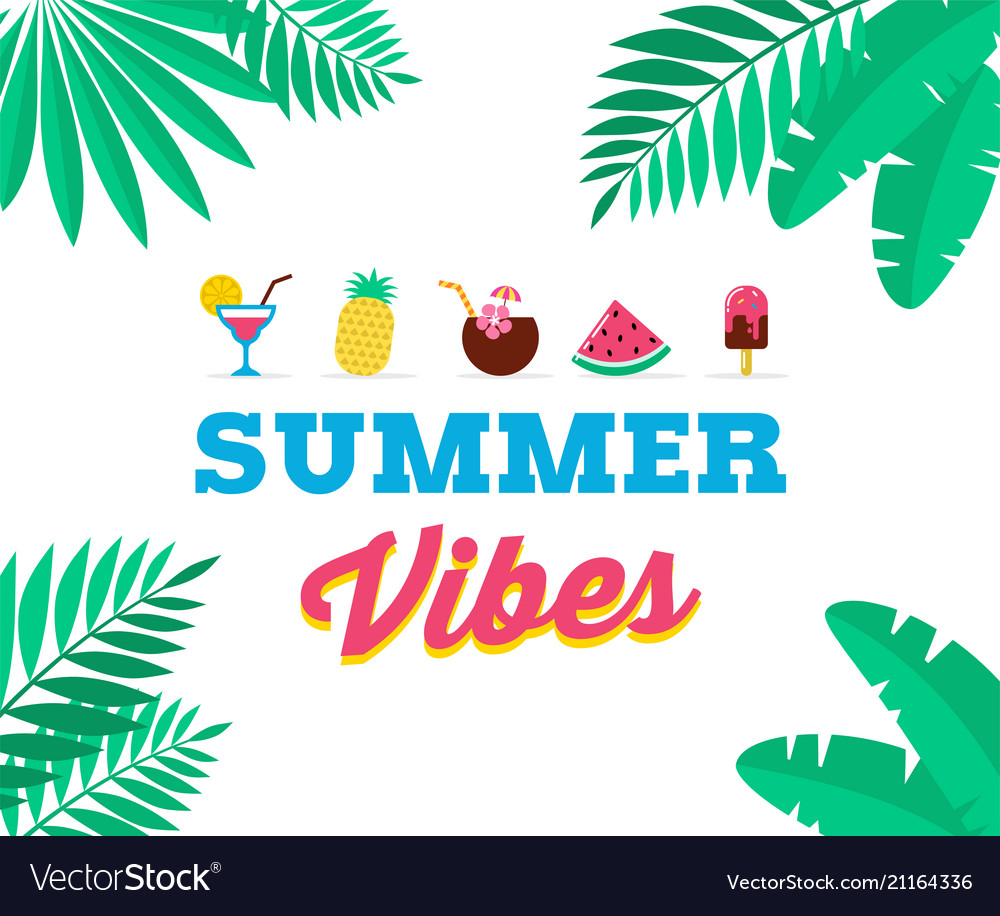 Summer vibes sale and promotion template Vector Image