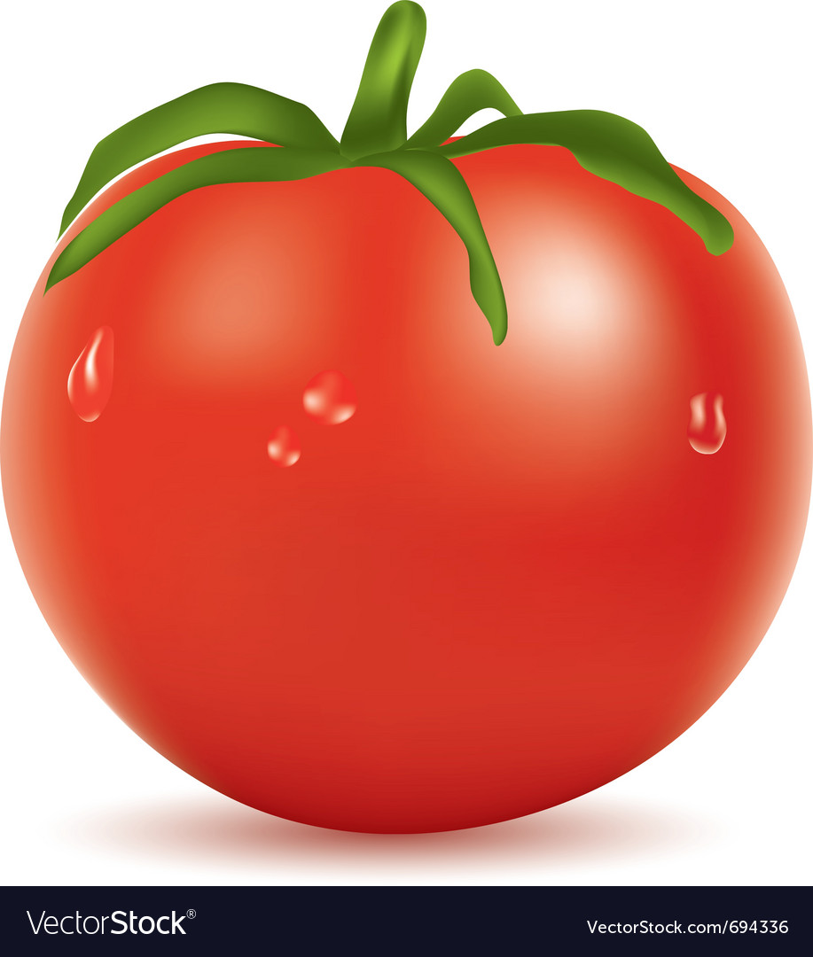 Tomato with water drops