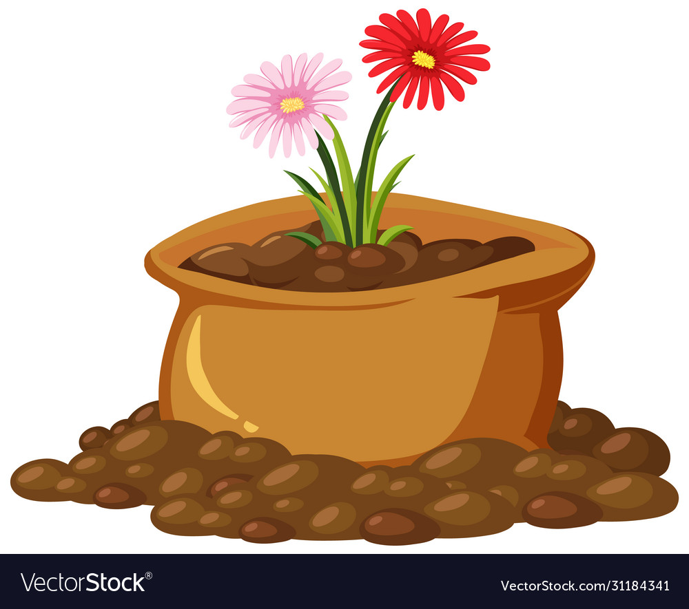 Colorful flowers in brown bag on white background