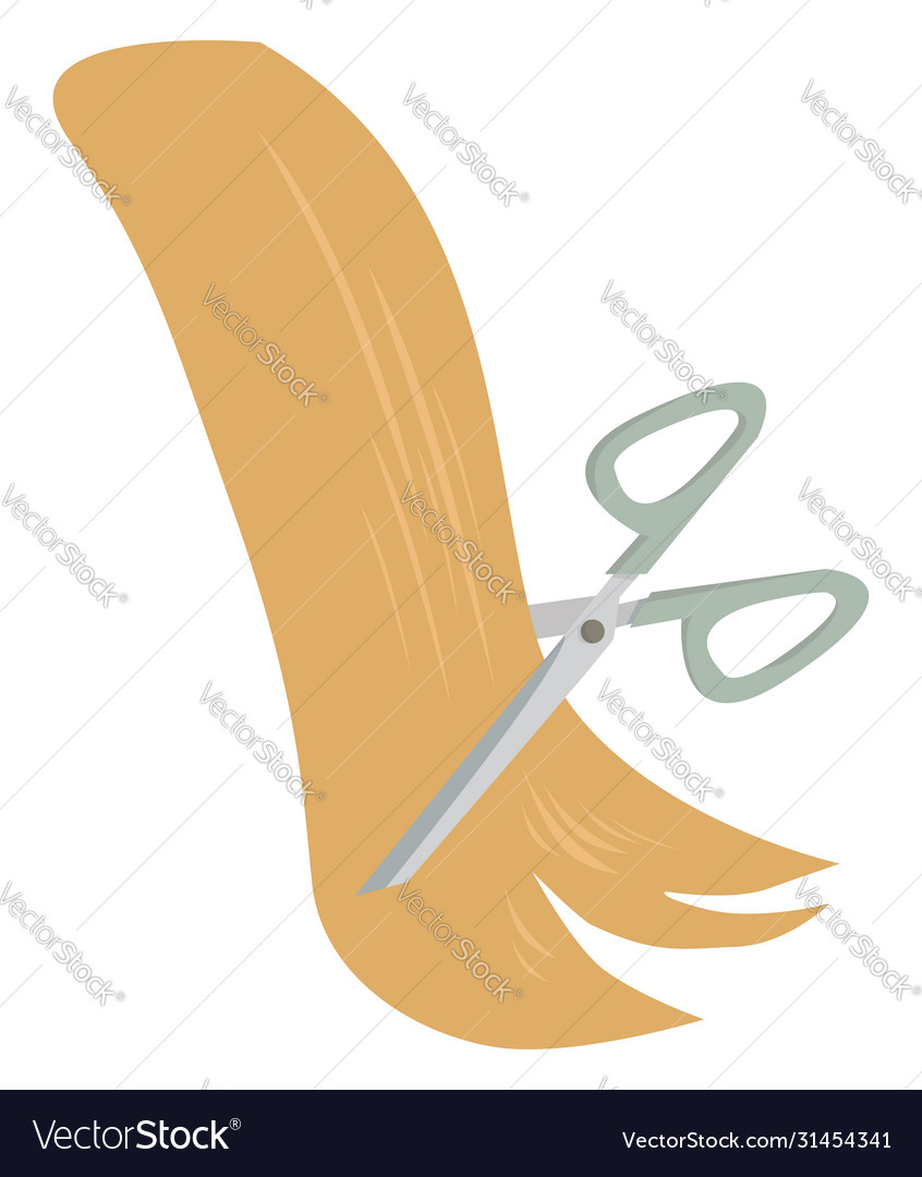 Cutting hair on white background