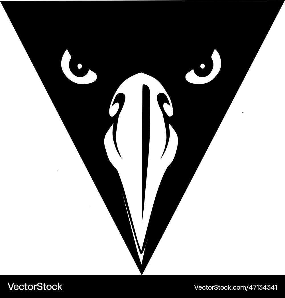 Eagles eye triangle image Royalty Free Vector Image