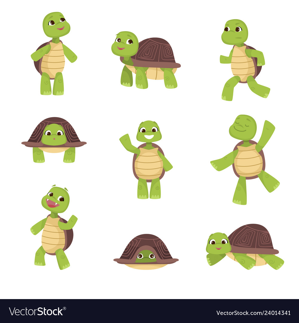 Set cute green turtles with brown shell in Vector Image