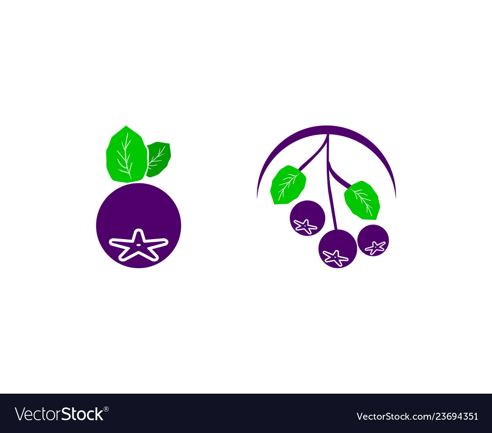 Set aus aronia berry logo Template