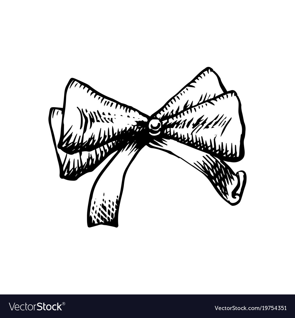 Sketch bow with ribbon isolated hand drawn Vector Image