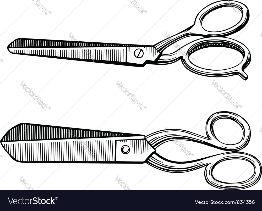 Scissors Royalty Free Vector Image - VectorStock