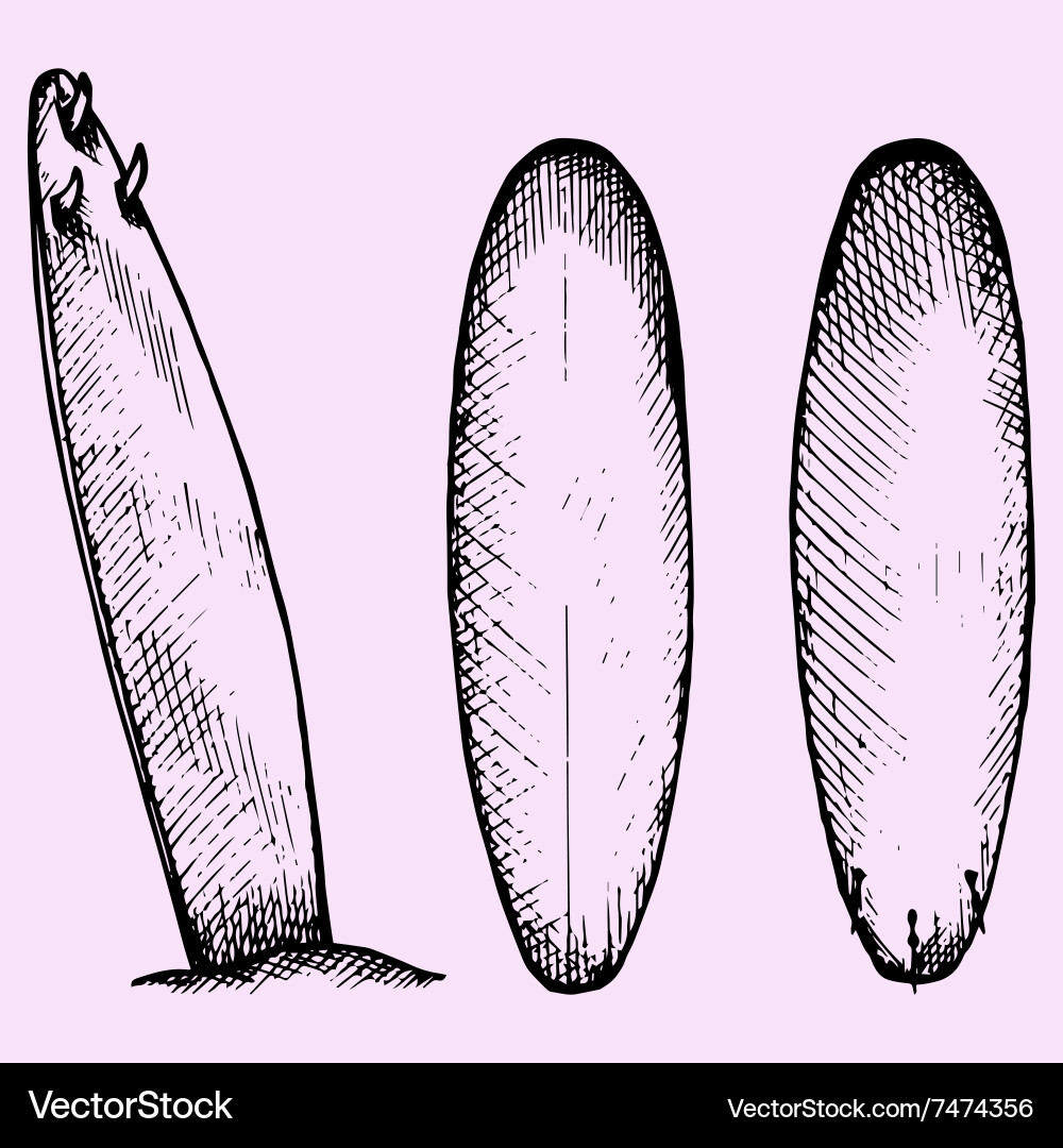 Surfboard Royalty Free Vector Image - VectorStock
