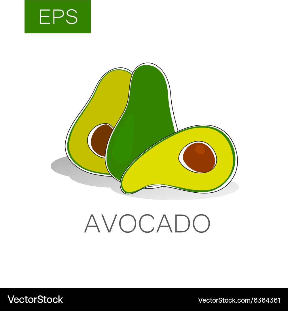 Avocado Royalty Free Vector Image - VectorStock