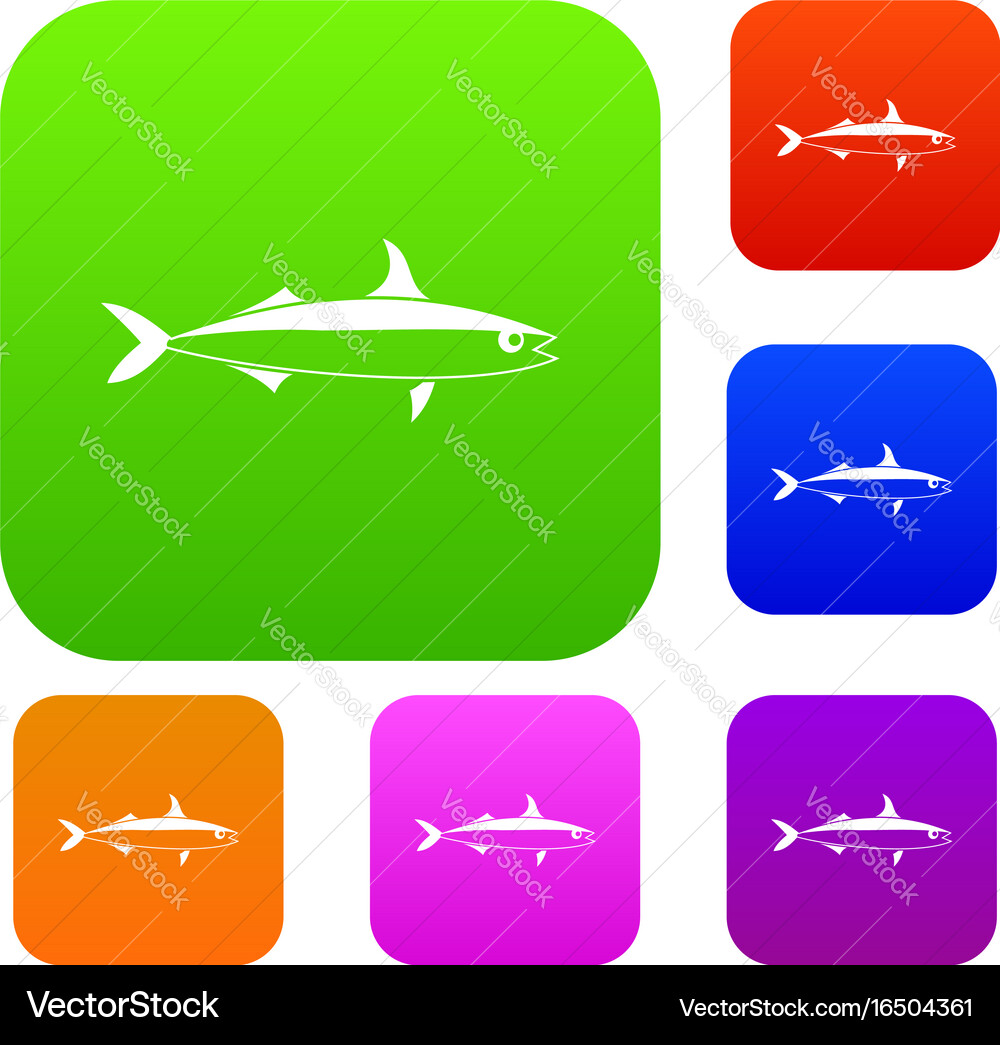 Fish set collection Royalty Free Vector Image - VectorStock