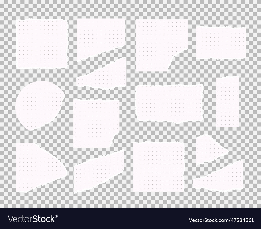 Set of empty torn ripped white lined sketchbook Vector Image