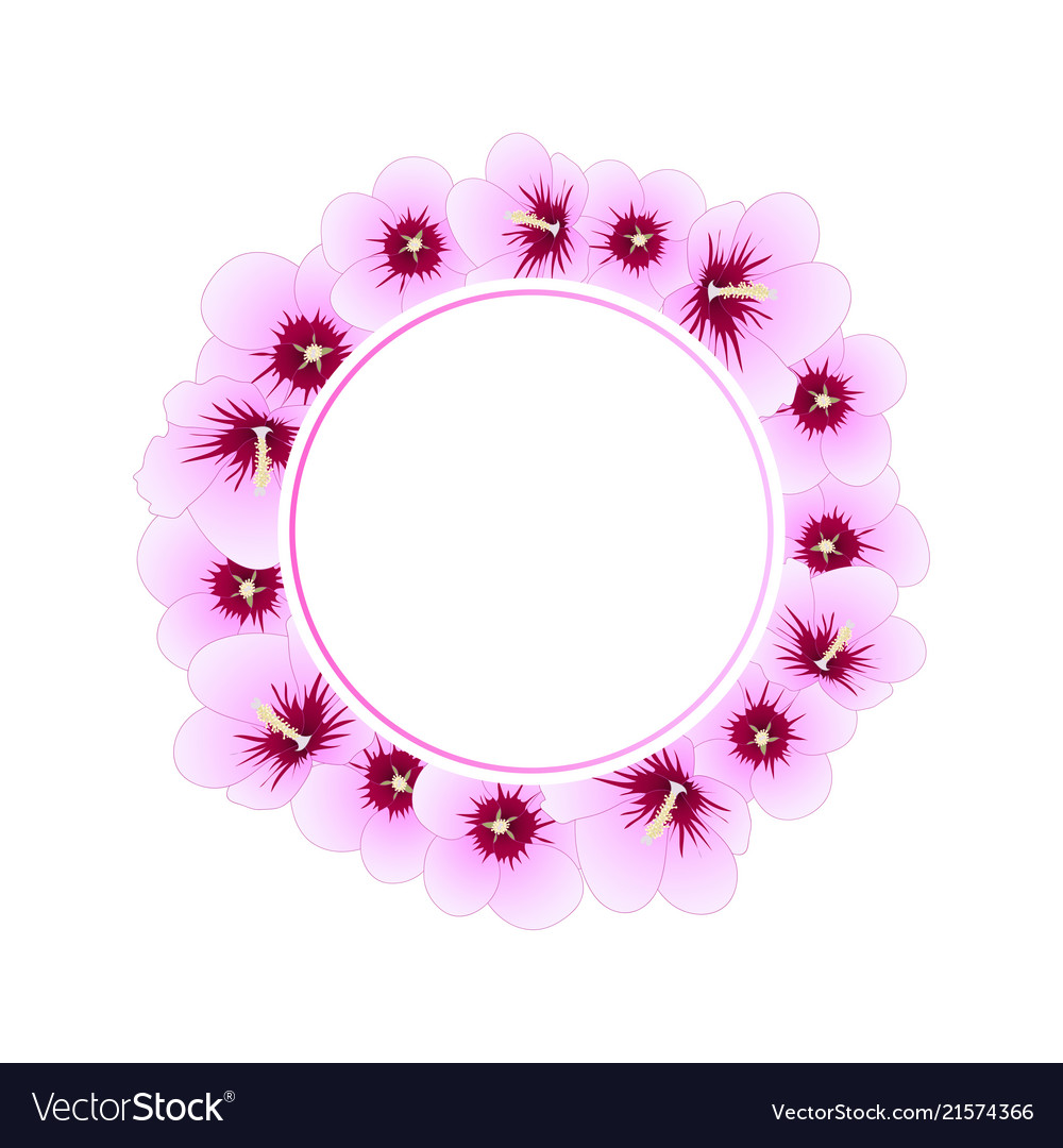 Hibiscus syriacus - rose of sharon banner wreath