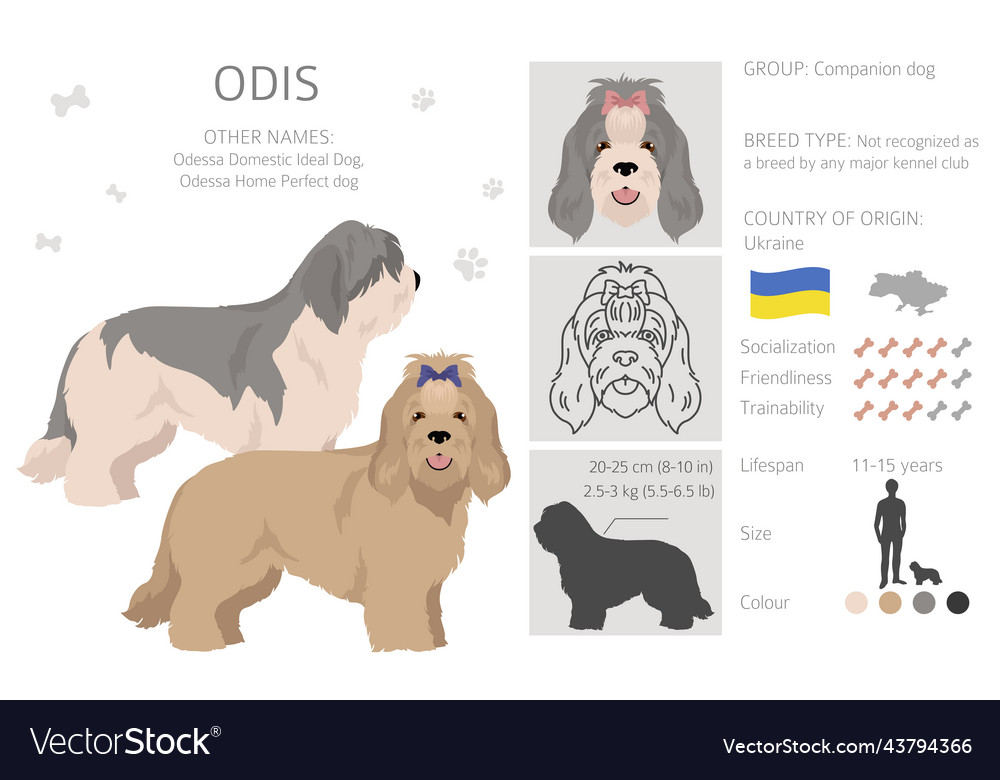 Odis dog clipart different poses coat colors set