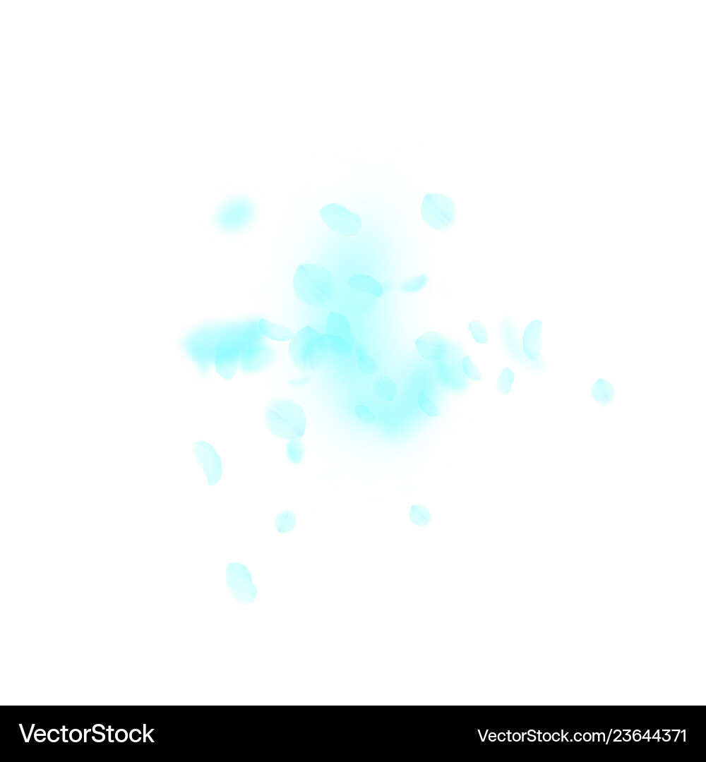 Turquoise flower petals falling down perfect roma Vector Image