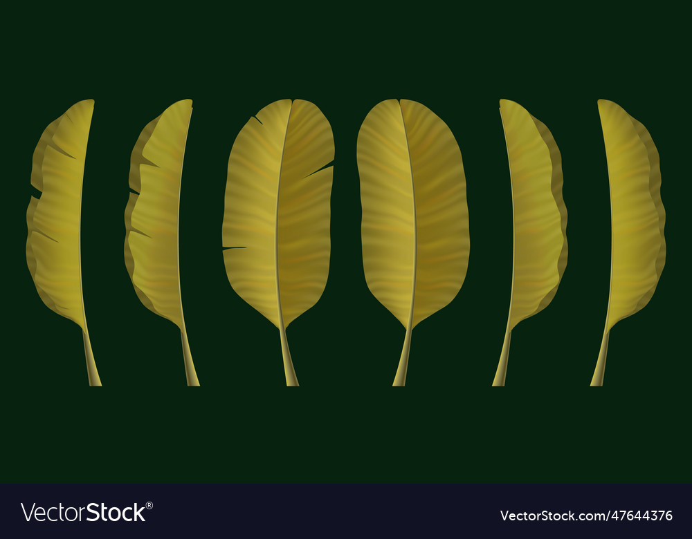 Goldene tropische Bananenblatt vertikale Insel Blumen