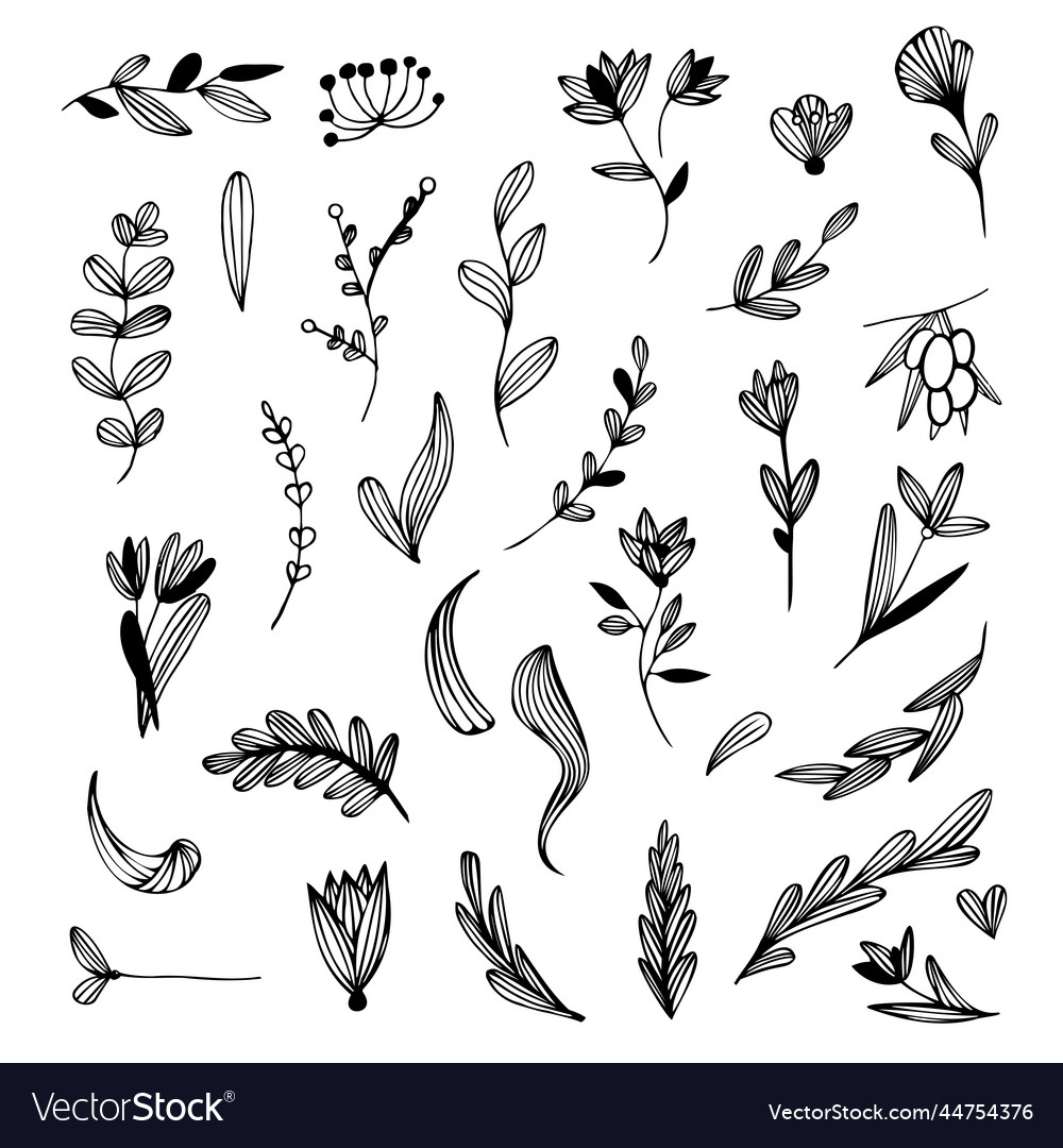 Set of leaves decor freehand Royalty Free Vector Image