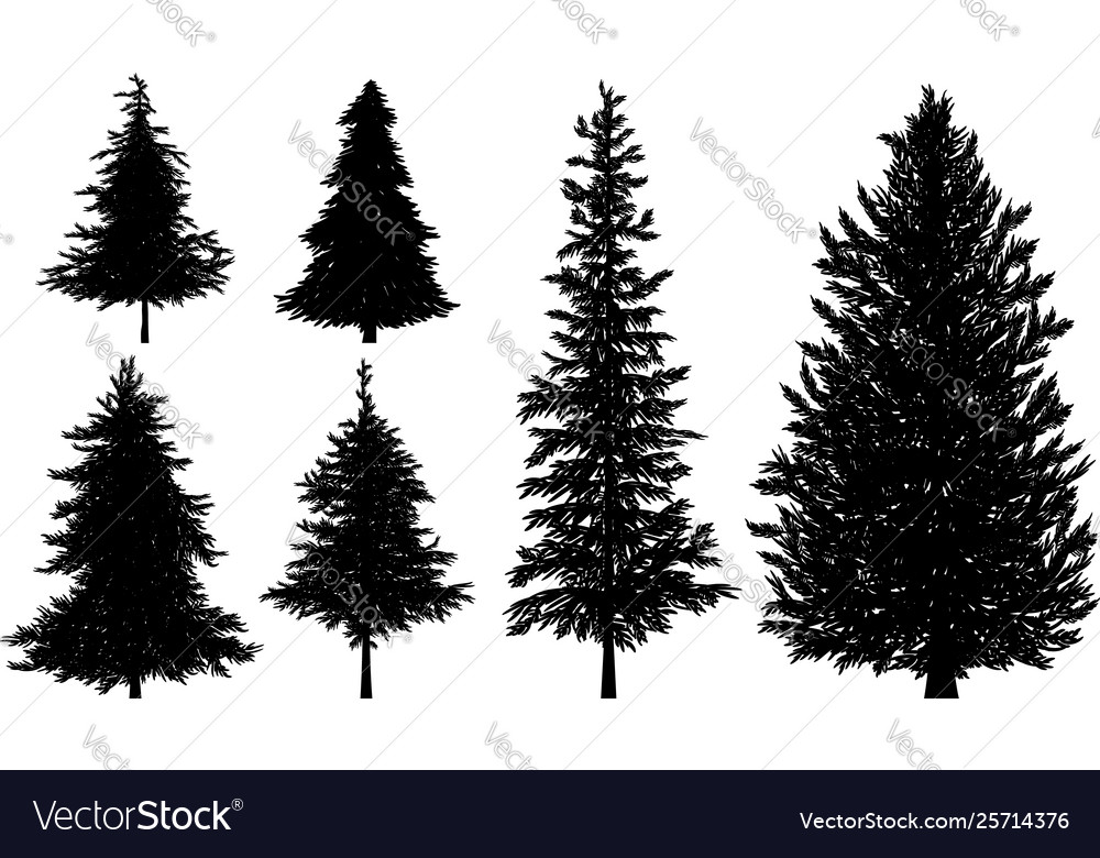 Download Silhouette fir or pine trees Royalty Free Vector Image