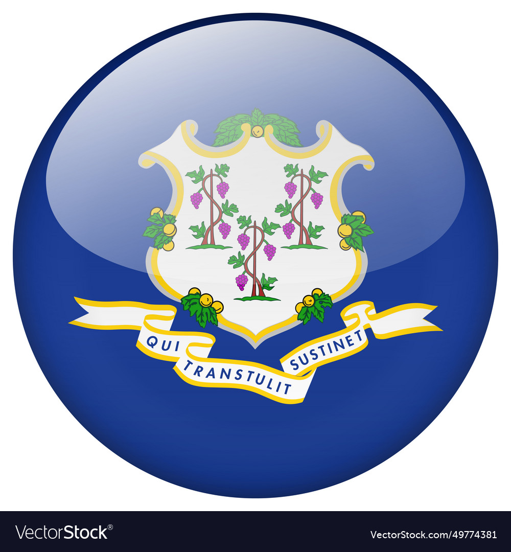 Connecticut flag button Royalty Free Vector Image