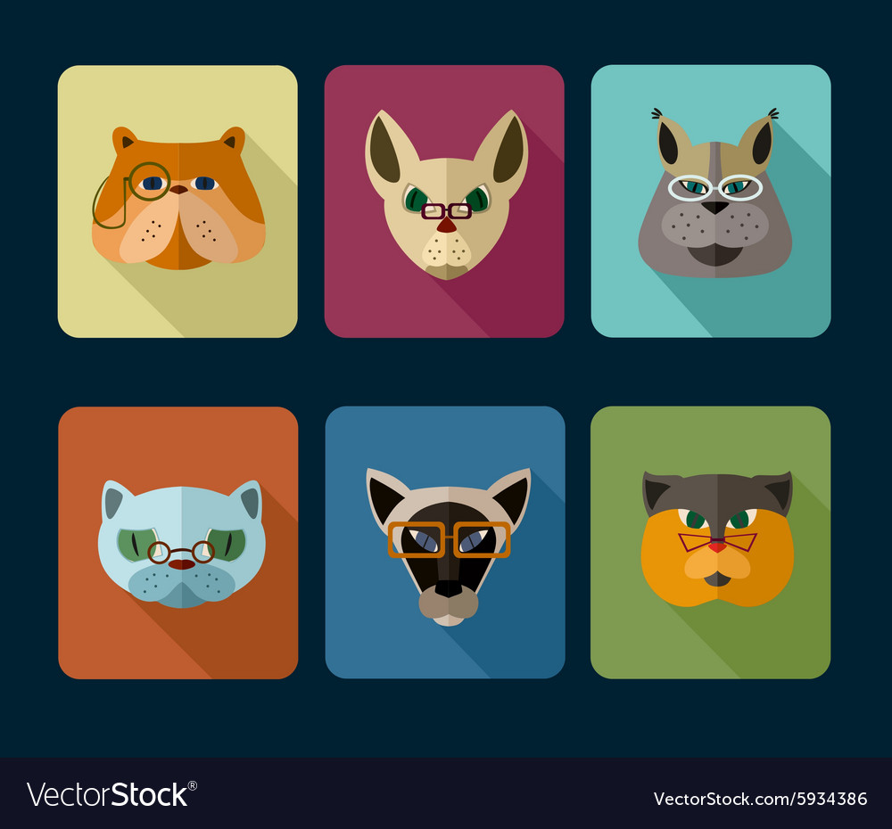 Big set of icons cats