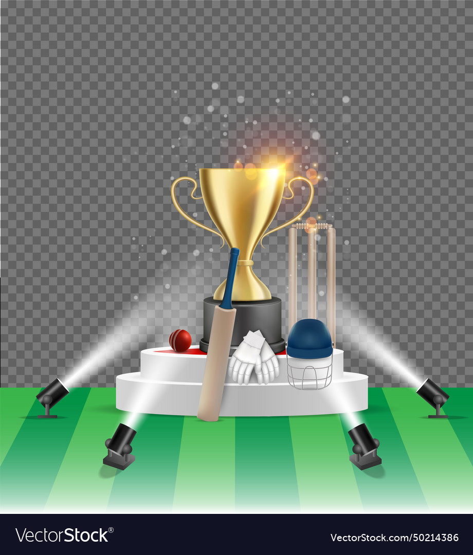 Cricket championship poster design template Vector Image