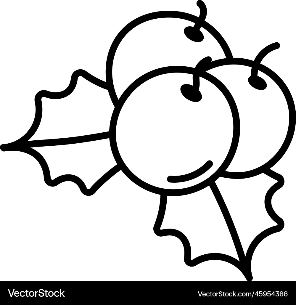 Mistletoe Royalty Free Vector Image - VectorStock