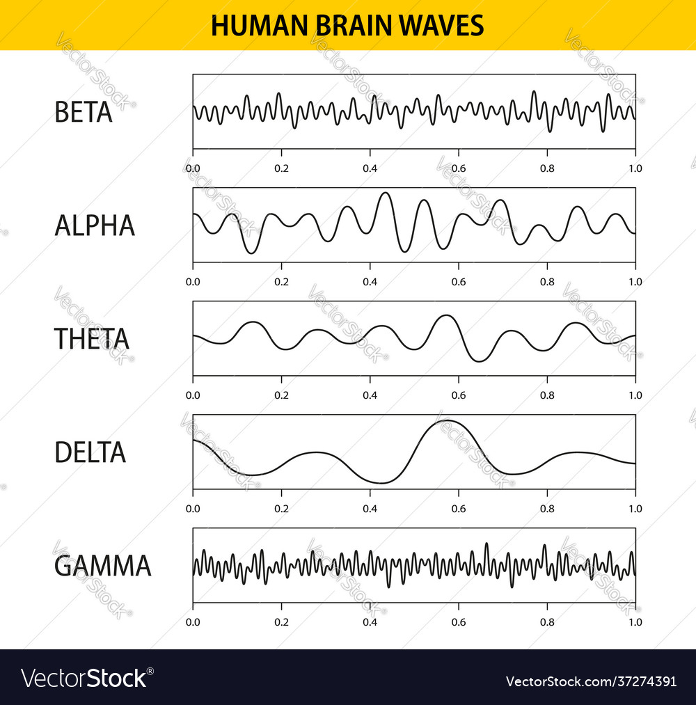 A Deep Dive Into Brainwaves: Brainwave Frequencies Explained