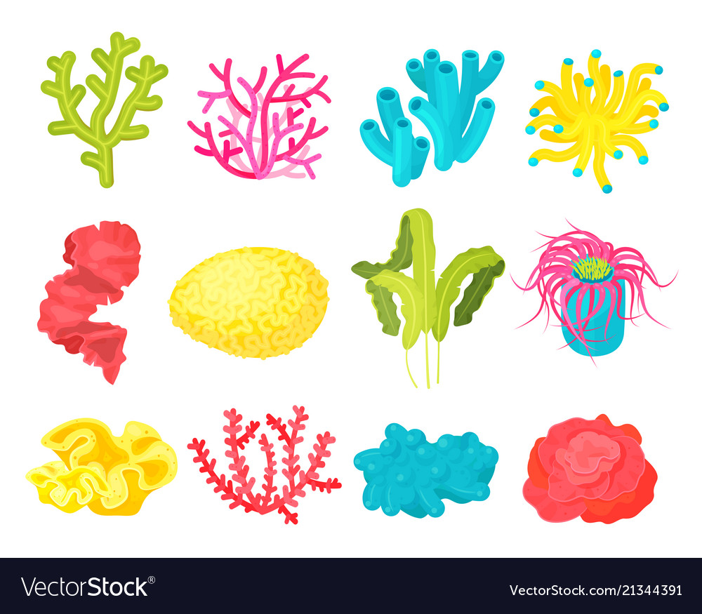 Seaweed and corals set Royalty Free Vector Image