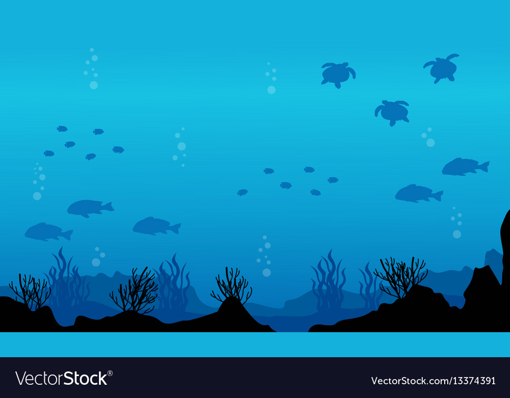 Silhouette of fish various underwater landscape