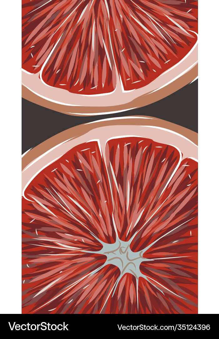 Composition two slices grapefruit hand Royalty Free Vector