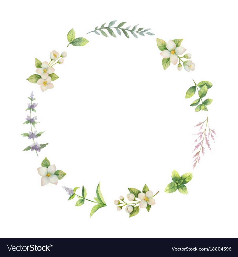 Watercolor Frame Of Jasmine And Mint Royalty Free Vector