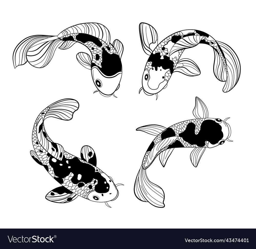 Japanese Koi Fish High-Res Vector Graphic - Getty Images